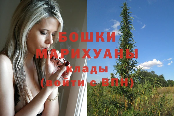 трава Осинники