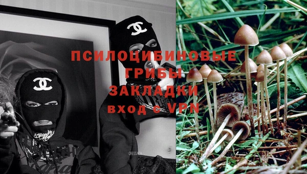 трава Осинники
