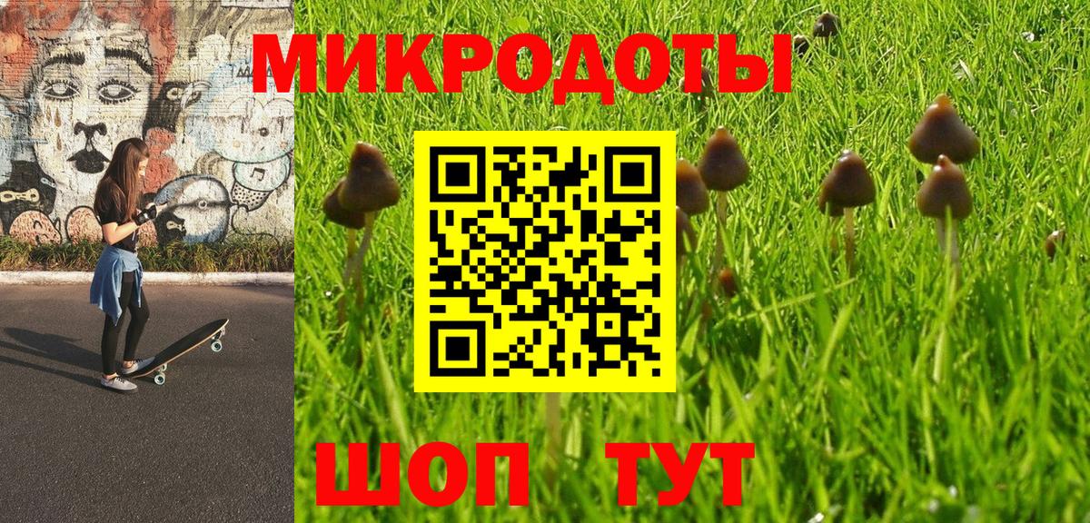 Галлюциногенные грибы Psilocybine cubensis Большой Камень