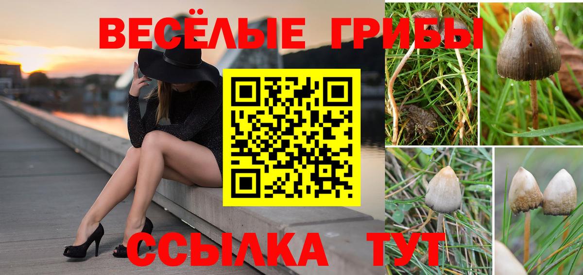 Псилоцибиновые грибы Magic Shrooms  Вход с VPN  Большой Камень 